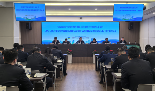 ʡ������¼��ŵ����ҹ�˾��ί�ٿ�2025�굳����������ͷ���������ۻ�